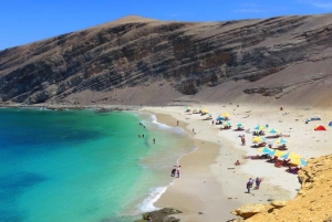 From Ica: Ballestas Islands & Paracas Reserve Round Trip