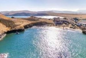 From Ica: Ballestas Islands & Paracas Reserve Round Trip