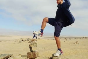 Fra Ica: Udflugt til Cañón de los Perdidos (De fortabtes kløft)