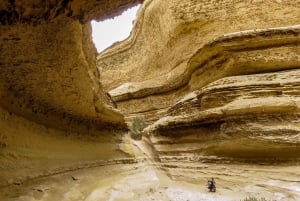 Fra Ica: Udflugt til Cañón de los Perdidos (De fortabtes kløft)