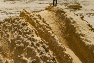 Fra Ica: Udflugt til Cañón de los Perdidos (De fortabtes kløft)