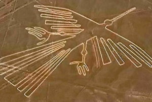 From Ica: Flight over the Nazca Lines