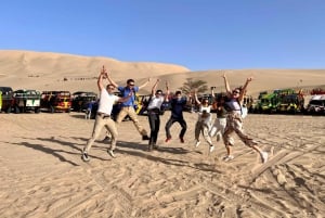 Depuis Ica ou Huacachina : survolez les lignes de Nazca et Huacachina en buggy.