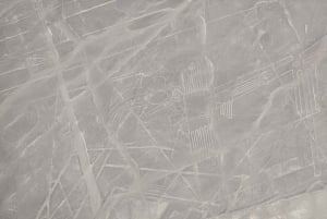 Depuis Ica ou Huacachina : survolez les lignes de Nazca et Huacachina en buggy.