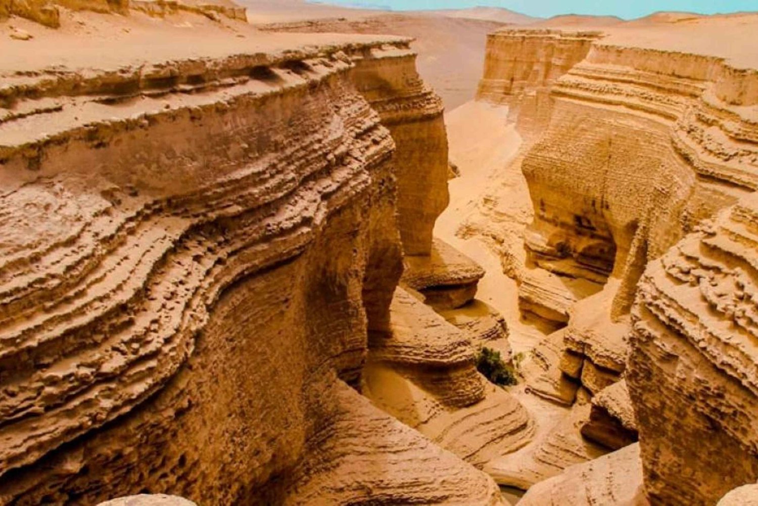 Vanuit Ica | Excursie van een volledige dag naar Los Perdidos Canyon |