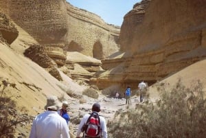 From Ica | Huacachina : Canyon de Los Perdidos | Full Day
