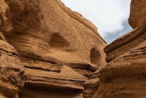 From Ica | Huacachina : Canyon de Los Perdidos | Full Day