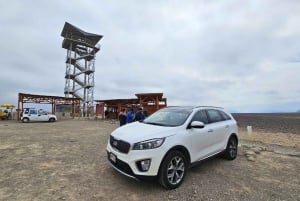 Desde Ica: Sobrevuelo Lineas de Nazca + Tour Arqueológico