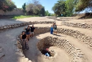 Desde Ica: Sobrevuelo Lineas de Nazca + Tour Arqueológico