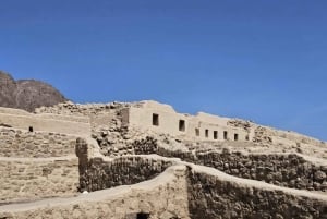 Desde Ica: Sobrevuelo Lineas de Nazca + Tour Arqueológico