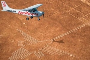 Desde Ica: Sobrevuelo Lineas de Nazca + Tour Arqueológico
