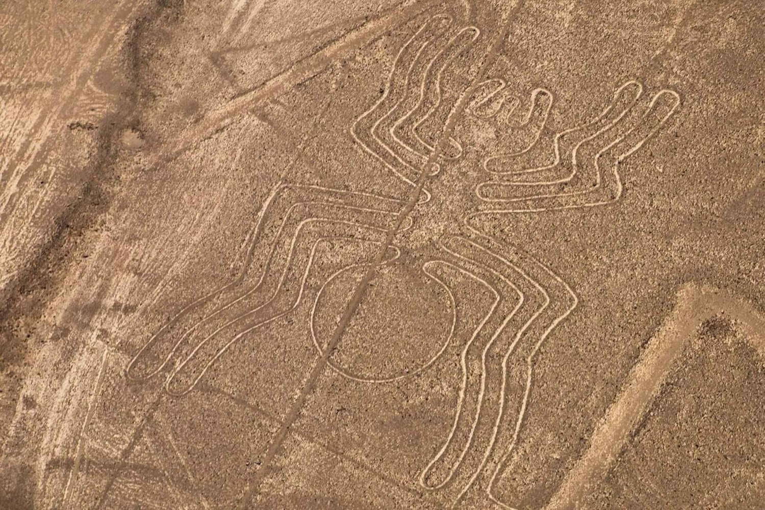 From Ica: Nazca Lines Flight with Wine and Pisco Tasting