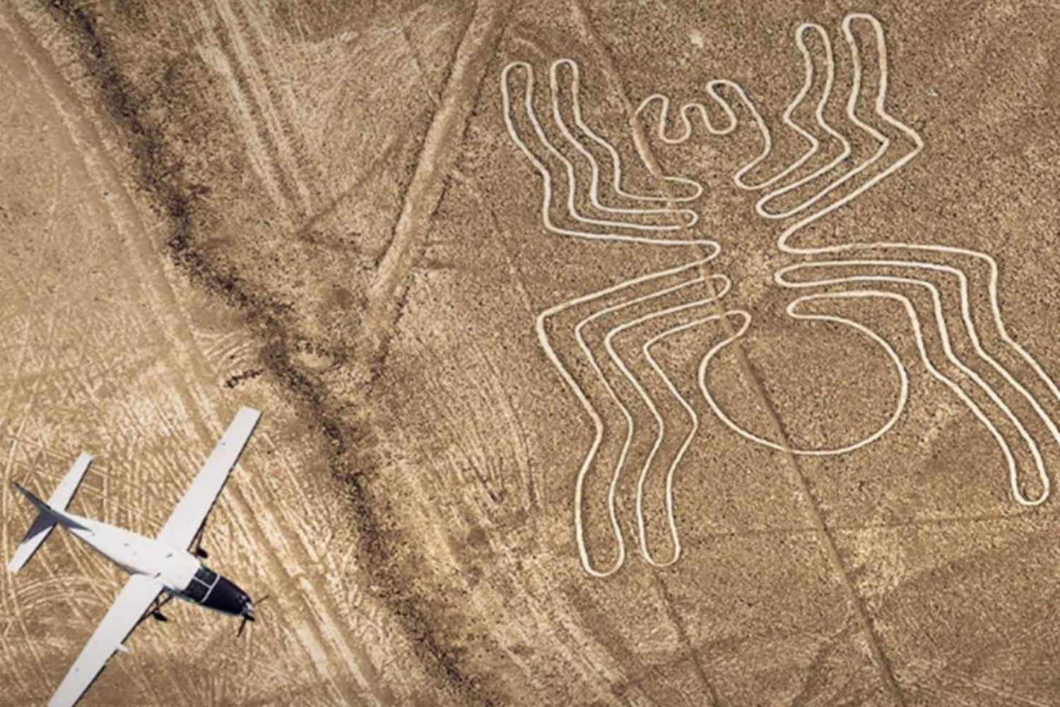 From Ica: Nazca Lines Flight with Wine and Pisco Tasting