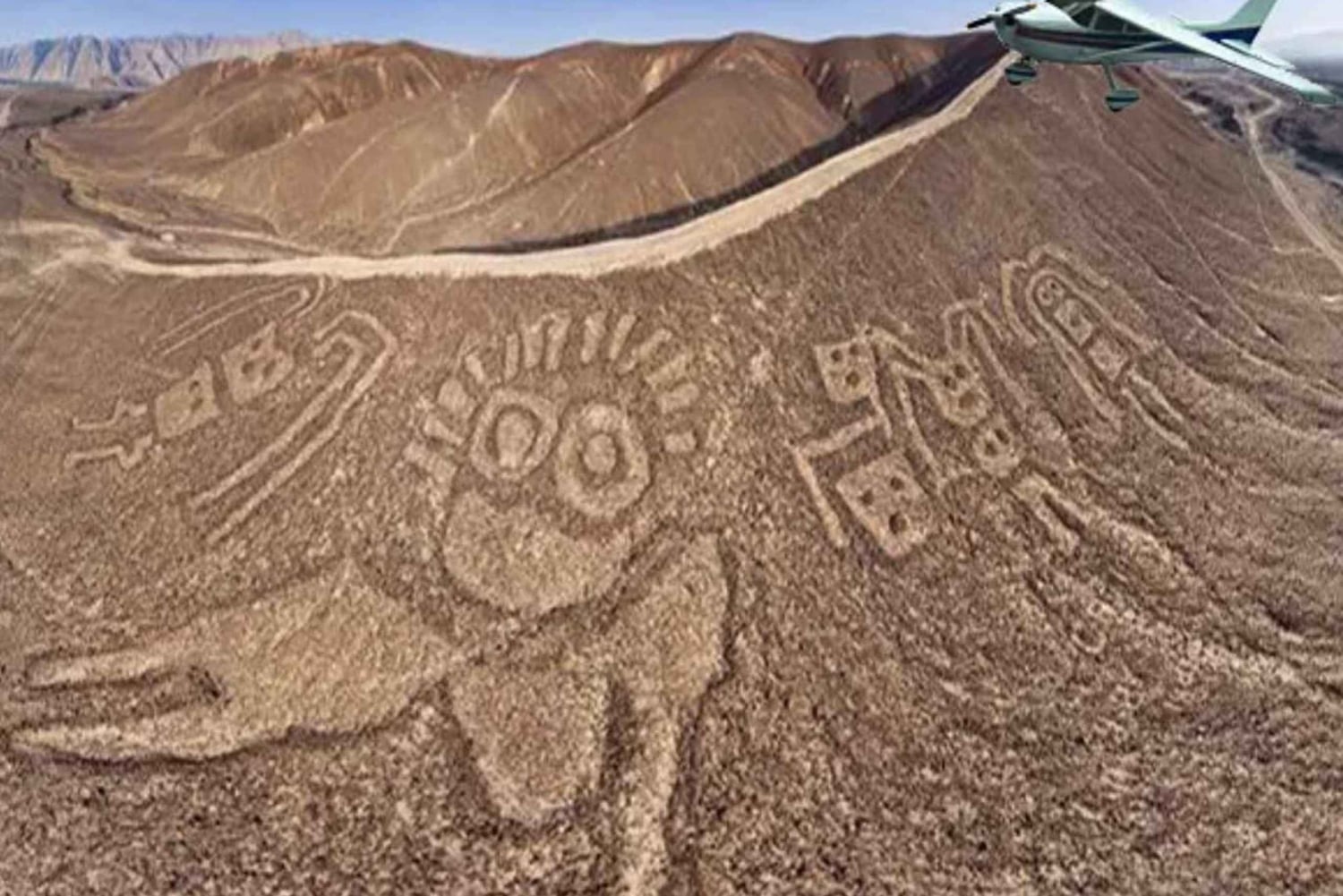 From Ica: Nazca Lines Flight with Wine and Pisco Tasting
