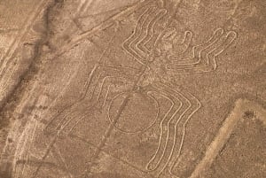 From Ica: Nazca Lines Flight with Wine and Pisco Tasting