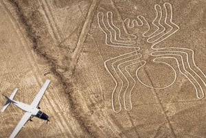 From Ica: Nazca Lines Flight with Wine and Pisco Tasting