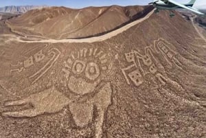 From Ica: Nazca Lines Flight with Wine and Pisco Tasting