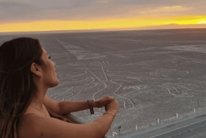 Depuis Ica : circuit des lignes de Nazca en route