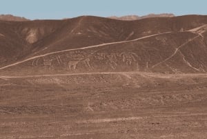 Depuis Ica : circuit des lignes de Nazca en route