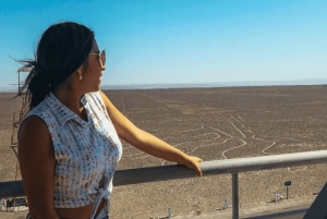 From Ica: Nazca Lines Tour on the way