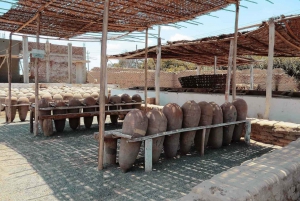 From Ica or Huacachina: Pisco and Wine Tour with Desert Trip