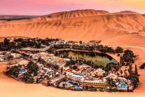 From Ica or Huacachina: Sunset dune buggy & sandboarding