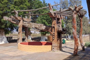 From Ica or Huacachina: Tour to Tacama Vineyard and Artisanal Winery.