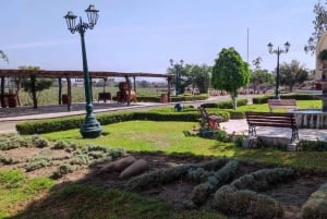 From Ica or Huacachina: Tour to Tacama Vineyard and Artisanal Winery.