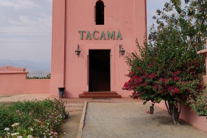 From Ica or Huacachina: Tour to Tacama Vineyard and Artisanal Winery.
