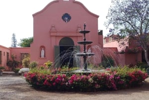 From Ica or Huacachina: Tour to Tacama Vineyard and Artisanal Winery.