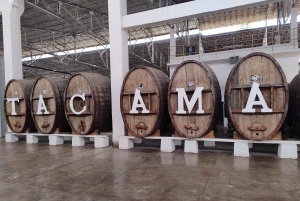 From Ica or Huacachina: Tour to Tacama Vineyard and Artisanal Winery.