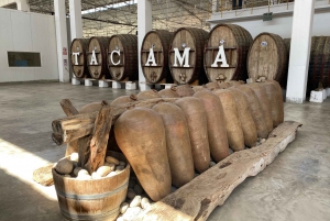 From Ica or Huacachina: Wine and Pisco Vineyards Tour