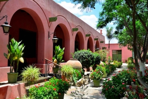 From Ica or Huacachina: Wine and Pisco Vineyards Tour