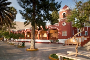 From Ica or Huacachina: Wine and Pisco Vineyards Tour