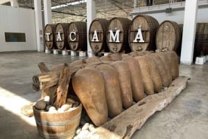 Icasta tai Huacachinasta: Hachacacina: Wine and Pisco Vineyards Tour: Wine and Pisco Vineyards Tour