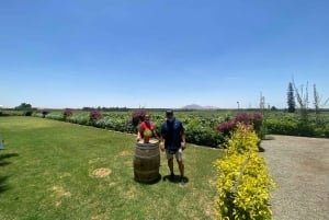 Fra Ica eller Huacachina: Vin og Pisco Vineyards Tour