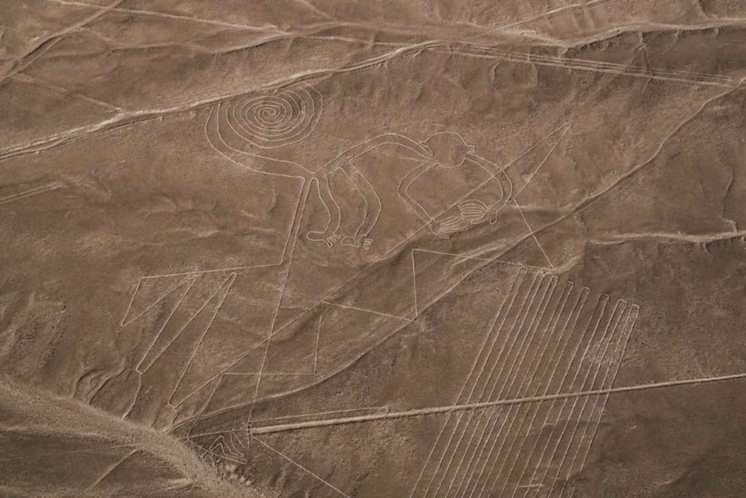 From Ica: Panoramic aerial experience over the Nazca geoglyphs
