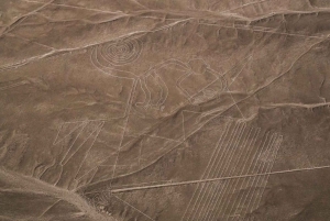 From Ica: Panoramic aerial experience over the Nazca geoglyphs
