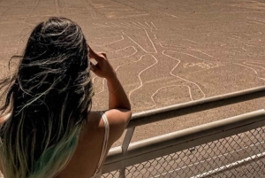 From Ica: Panoramic aerial experience over the Nazca geoglyphs