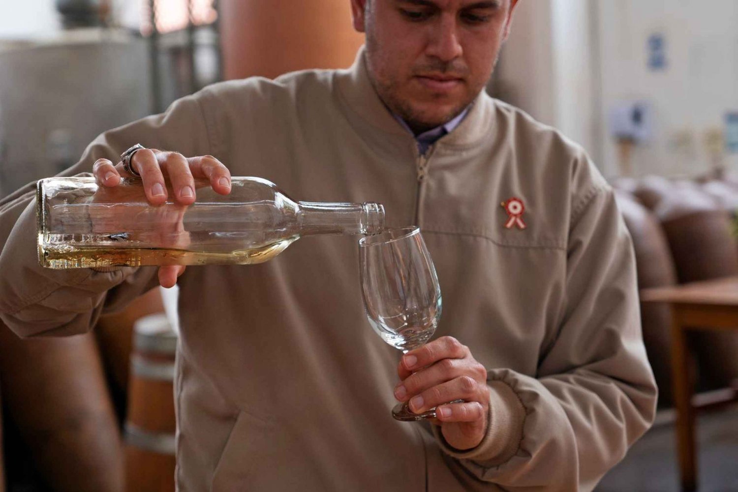 From Ica: Wine and Pisco Vineyards Tour | Free Tasting |