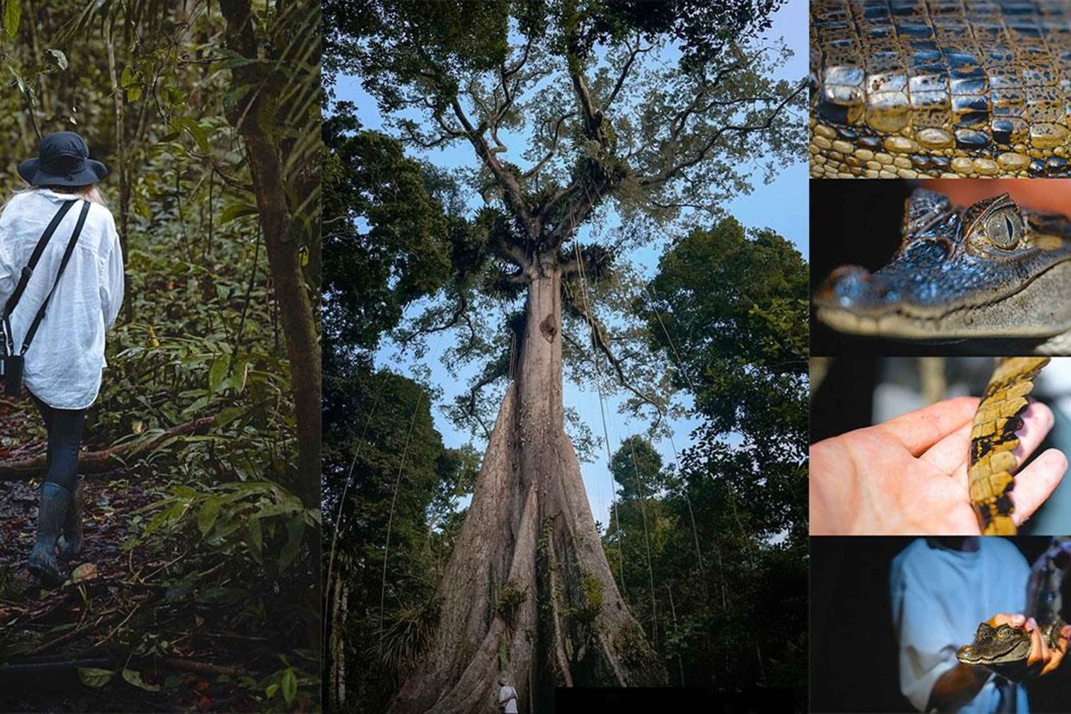 From Iquitos: 3-Day Amazon Jungle Adventure Trip