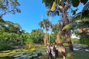 From Iquitos: 3-Day Amazon Jungle Adventure Trip