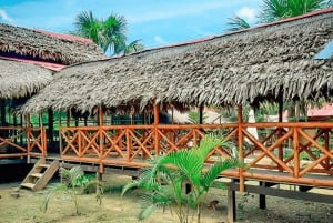 From Iquitos: 3-Day Amazon Jungle Adventure Trip