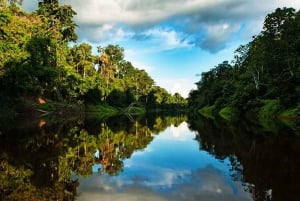 From Iquitos: 3-Day Pacaya Samiria Amazon