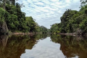 From Iquitos: 3-Day Pacaya Samiria Amazon