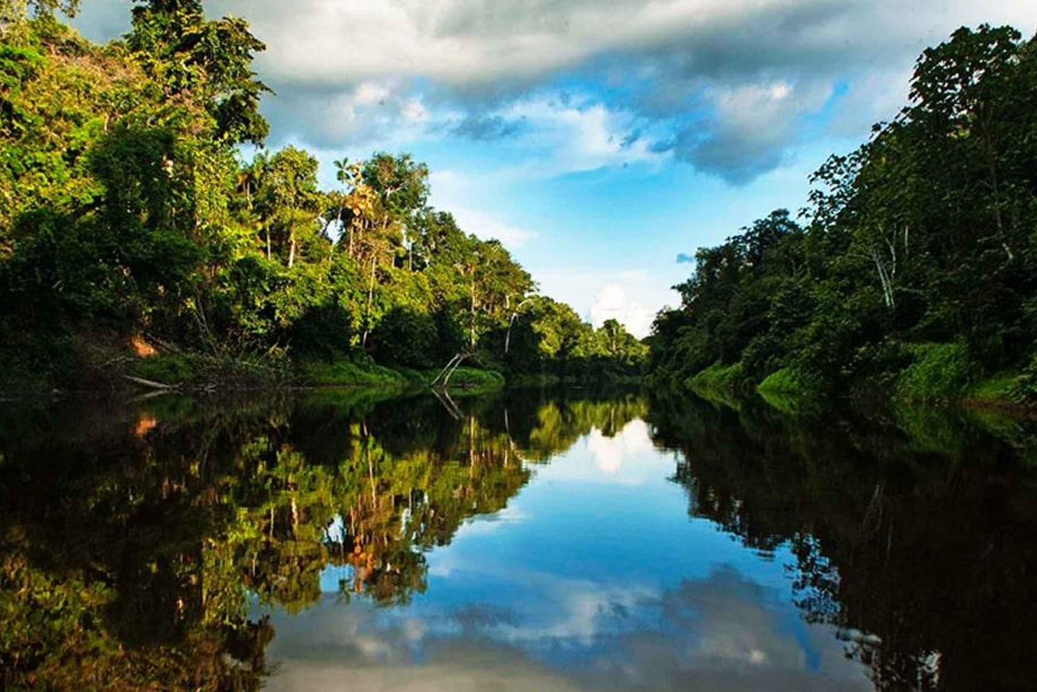 Desde Iquitos: 3 días en Pacaya Samiria Amazonas