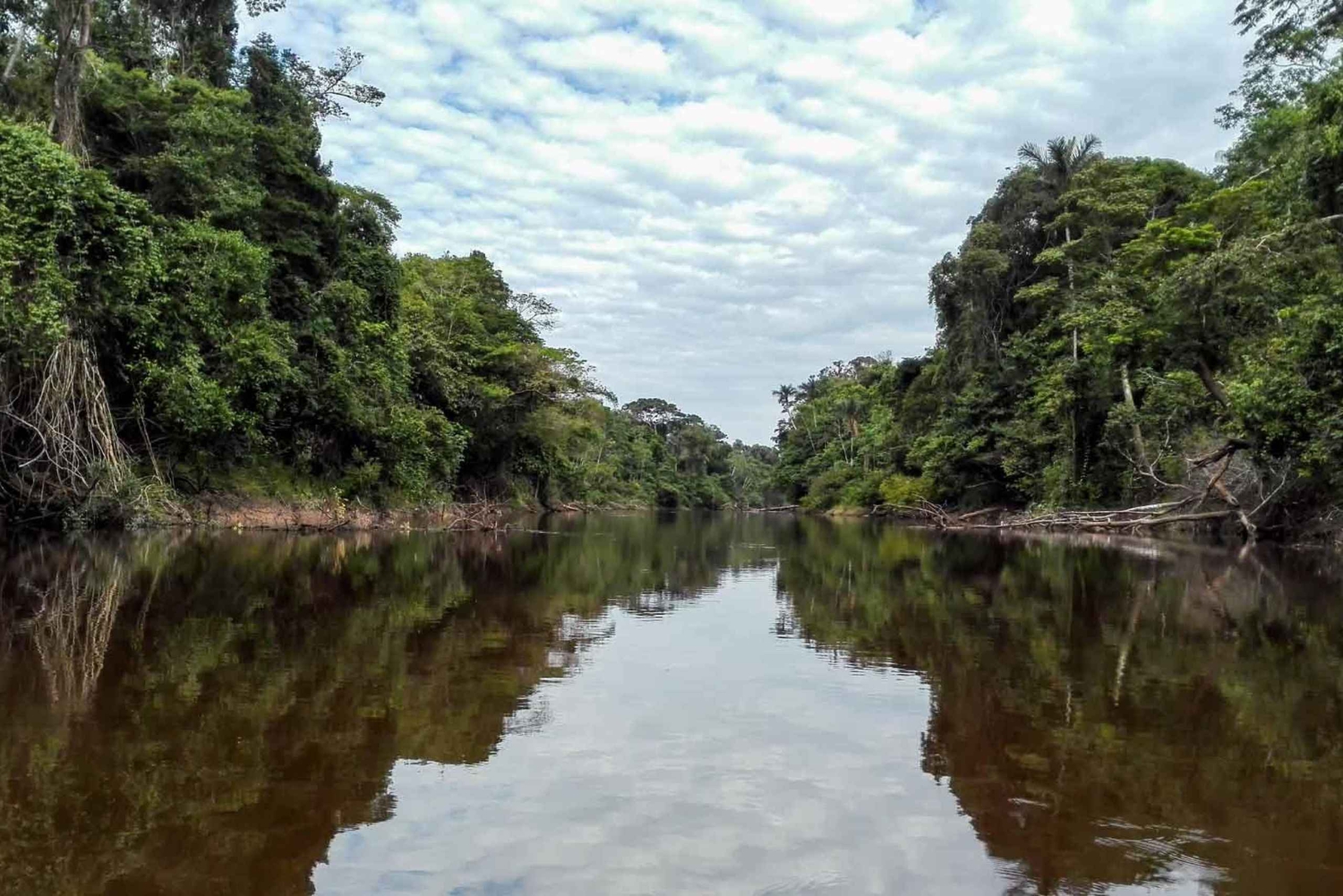 Desde Iquitos: 3 días en Pacaya Samiria Amazonas