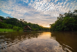 From Iquitos: 3-Day Pacaya Samiria Reserve Experience