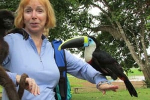 Da Iquitos || Escursione all'Isola delle Scimmie di una giornata intera ||