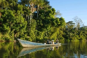 From Iquitos: Full day tour in the Peruvian jungle